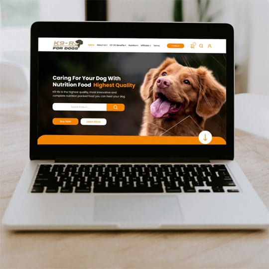Web Design