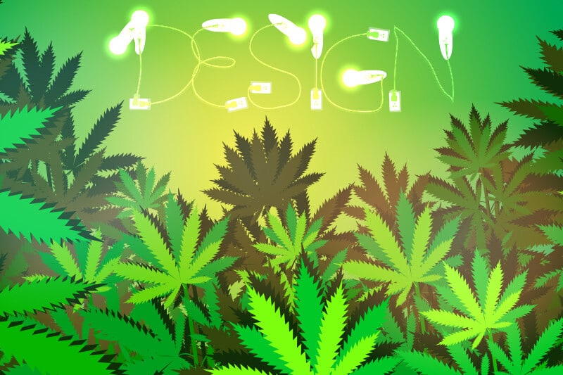 What Great Design Can Do for Your CBD Business how great design can elevate your cbd business 3