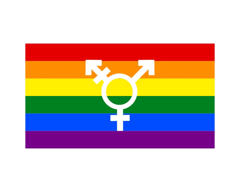 Reimagining The Pride Flag, Hatchwise Style pasted image 0 2