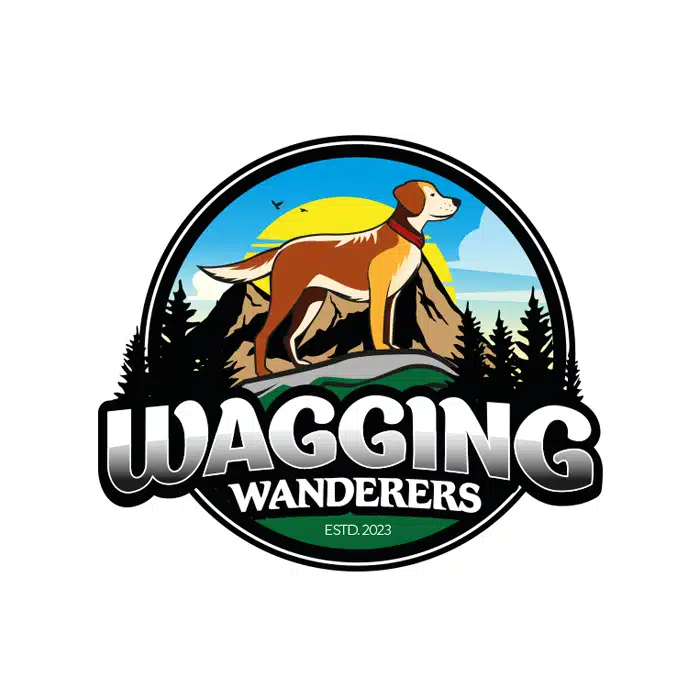 Original logo design created by a Hatchwise creative